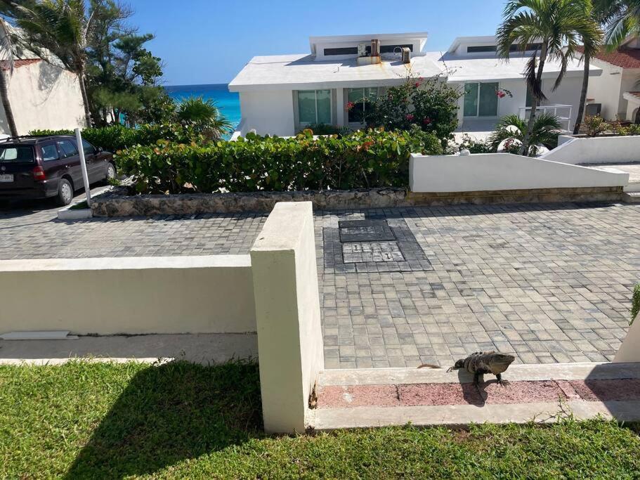 Cancun Oceanfront, Entire Apartment Eksteriør bilde